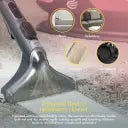 Swan SC18411QOC TV’s Queen of Clean Spot Cleaner with Auto-Stopping Function, Flexible Hose, and Interchangeable Heads, 600W, Pink
